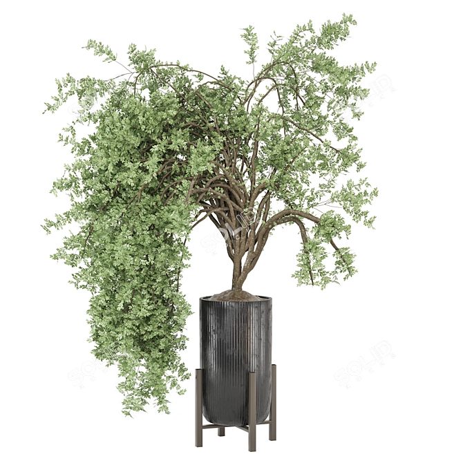  Modern Indoor Plants Collection 3D model image 4