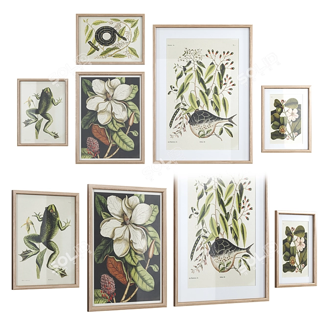 Nature Collection Picture Frames 3D model image 2