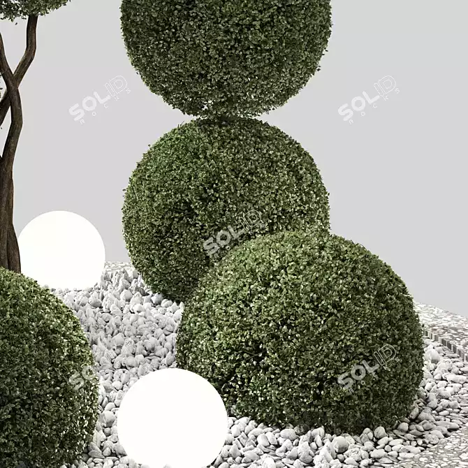 Outdoor Plant Set 06 - V-Ray & Corona Compatible 3D model image 4