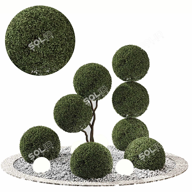 Outdoor Plant Set 06 - V-Ray & Corona Compatible 3D model image 6