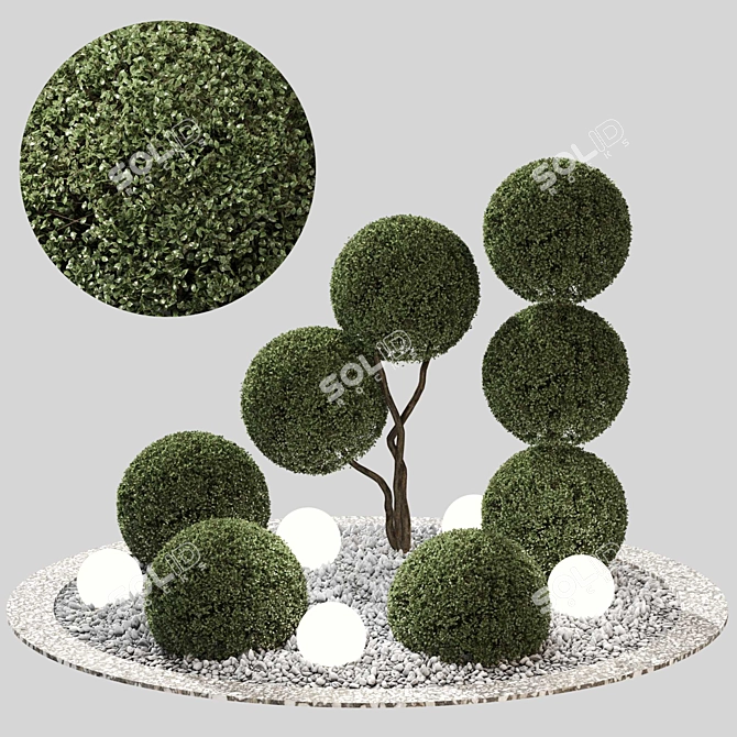 Outdoor Plant Set 06 - V-Ray & Corona Compatible 3D model image 7