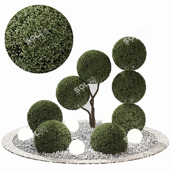 Outdoor Plant Set 06 - V-Ray & Corona Compatible 3D model image 8