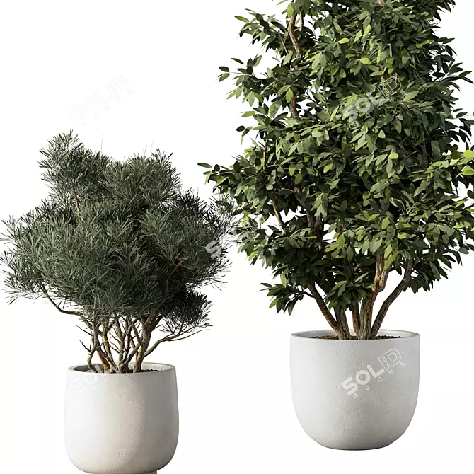 Botanical Bliss Collection Kit 3D model image 2