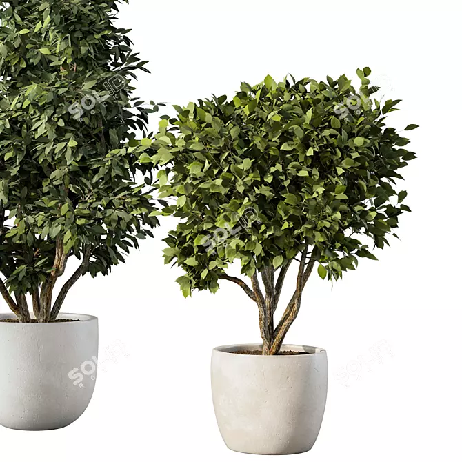 Botanical Bliss Collection Kit 3D model image 3