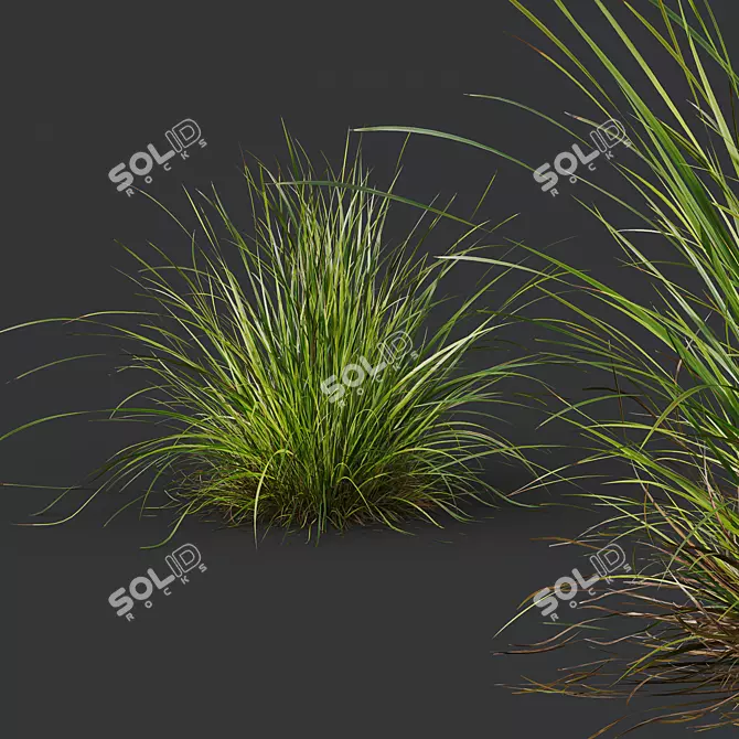 Luminous Grass Duo 3D Models 3D model image 4