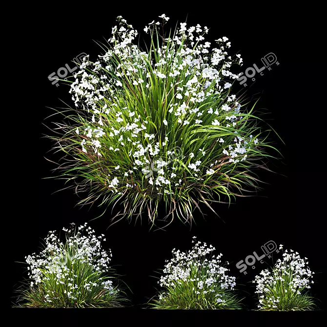 Luminous Grass Duo 3D Models 3D model image 5