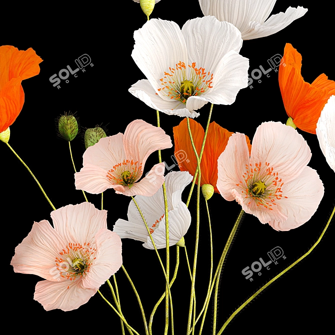 Modern Field Flower Bouquet Set 3D model image 3