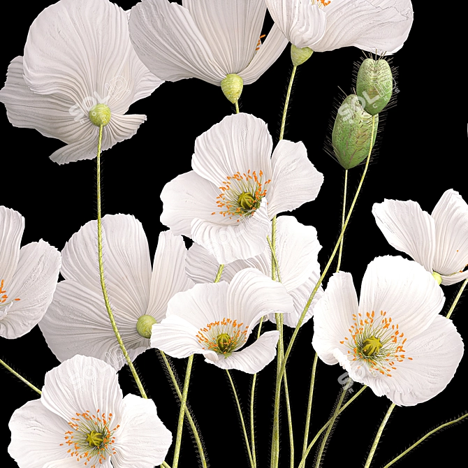 Icelandic Poppy Field Bouquet 3D model image 3