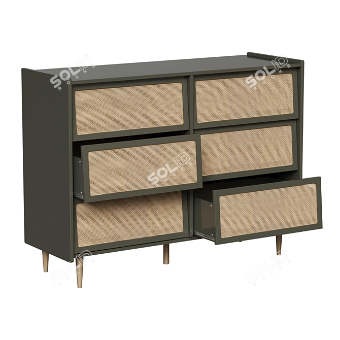 Modern Taga Chest with Rattan Facade 3D model image 9