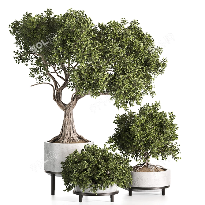 Premium Indoor Plant Set 3D 3D model image 1