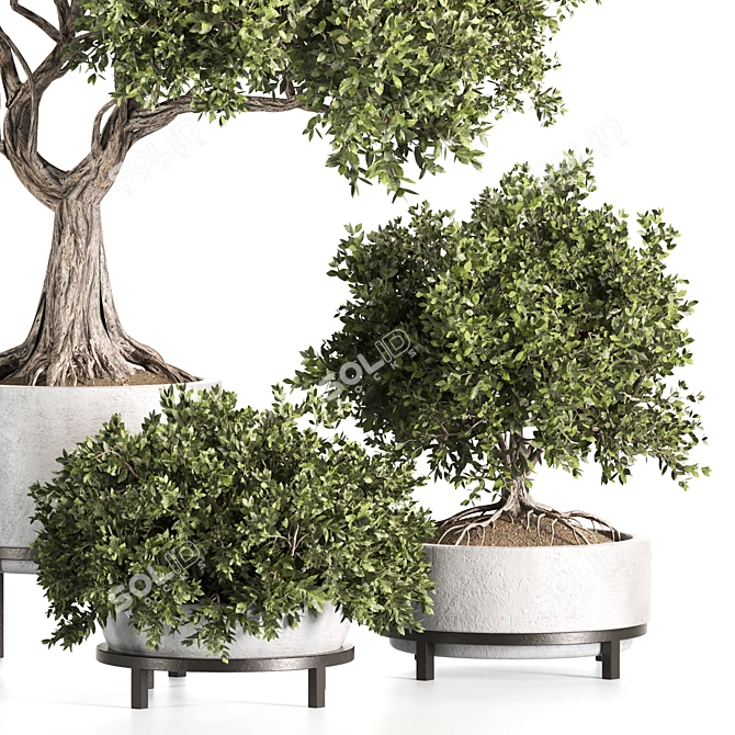 Premium Indoor Plant Set 3D 3D model image 2