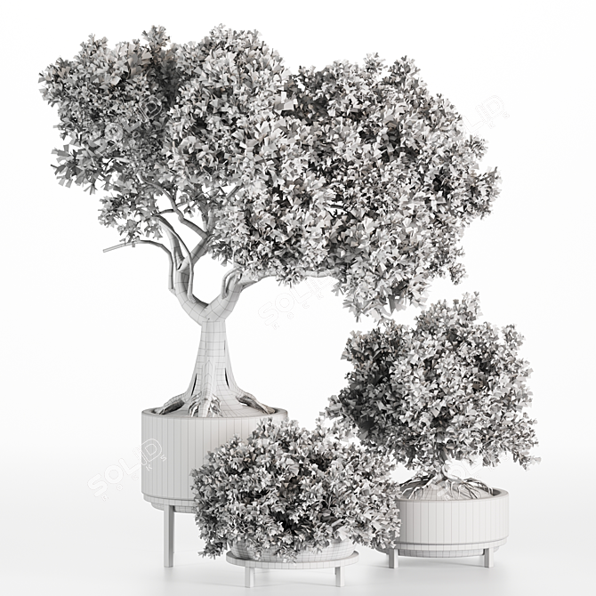 Premium Indoor Plant Set 3D 3D model image 4