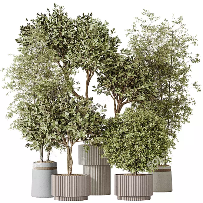 Variety of 5 Indoor Plant 3D Models 3D model image 1