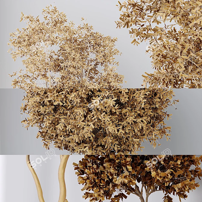 Variety of 5 Indoor Plant 3D Models 3D model image 6