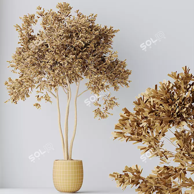 Elegant Olive Tree Set 3D model image 5