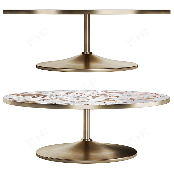 Elegant Shoal Inlay Coffee Table 3D model image 2