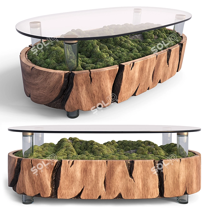 Mossy Wood Terrarium Coffee Table 3D model image 1