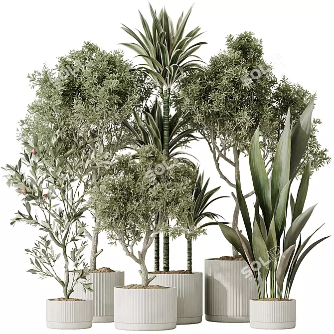 Variety of 6 Indoor Plant Models 3D model image 1