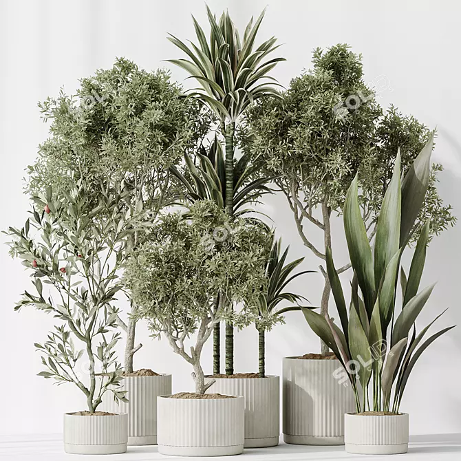 Variety of 6 Indoor Plant Models 3D model image 2