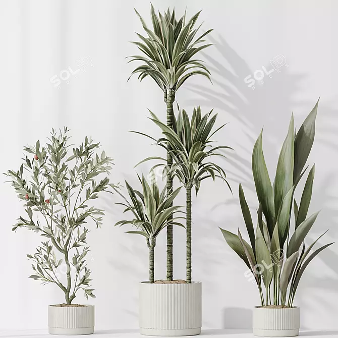 Variety of 6 Indoor Plant Models 3D model image 4