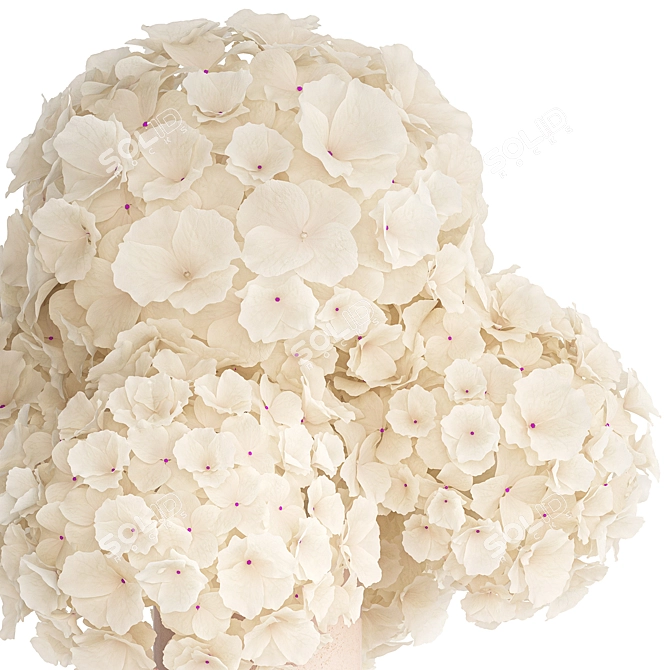 Hydrangea White Bouquet Vase 3D model image 2