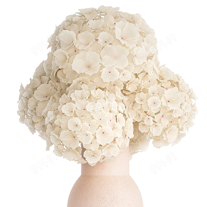 Hydrangea White Bouquet Vase 3D model image 5