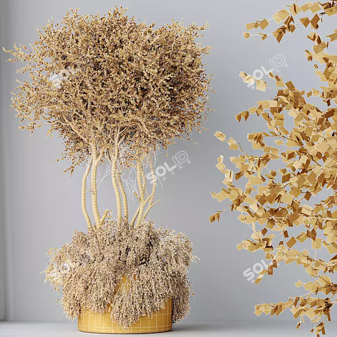 3D Olive Tree Model Set 3D model image 5