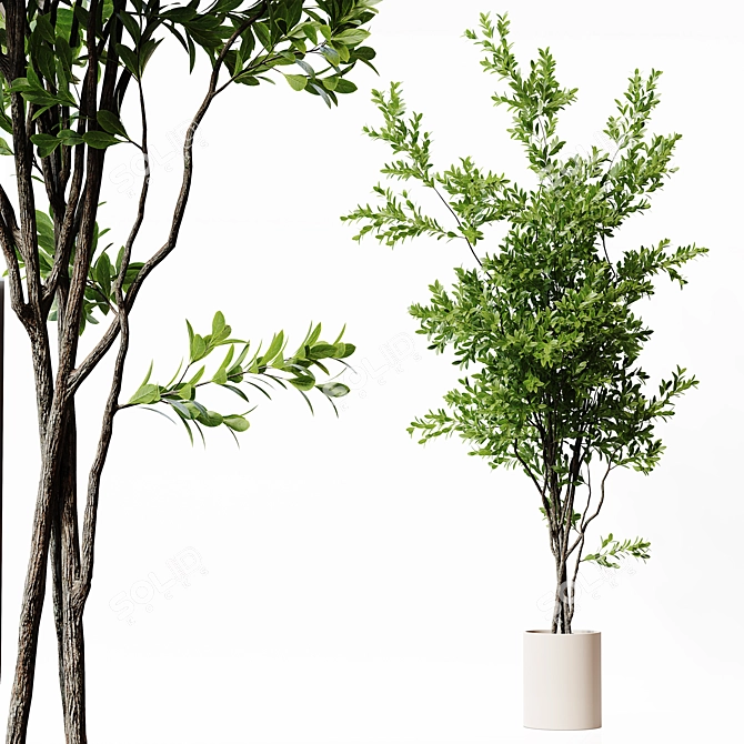22-Inch Indoor Plant 3D Model 3D model image 2