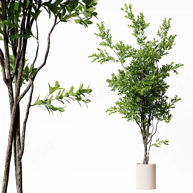22-Inch Indoor Plant 3D Model 3D model image 3