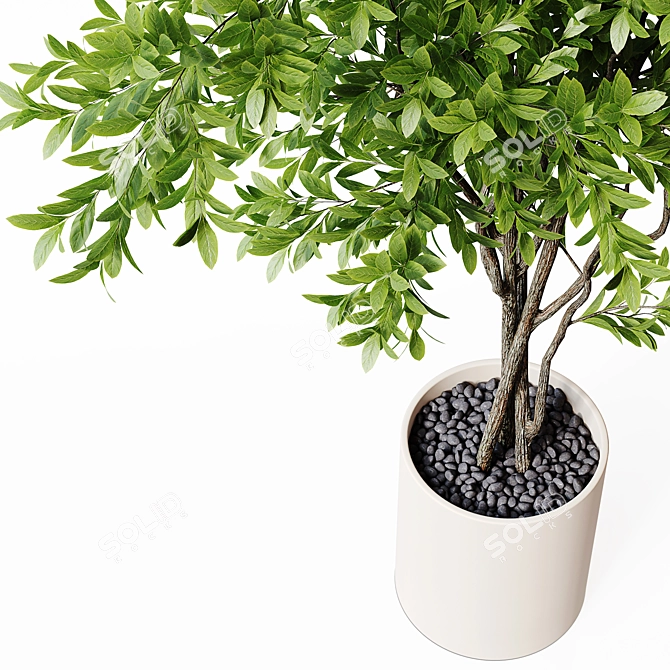 22-Inch Indoor Plant 3D Model 3D model image 4