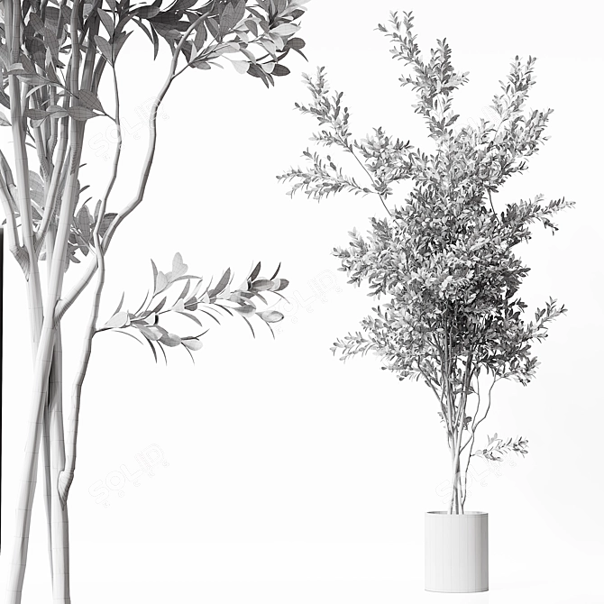 22-Inch Indoor Plant 3D Model 3D model image 6