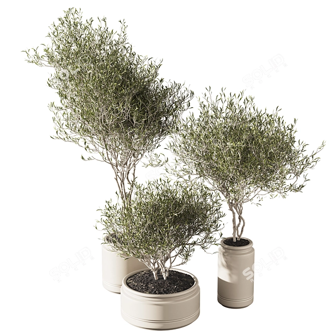 Set of Indoor Live Plants 3D model image 2