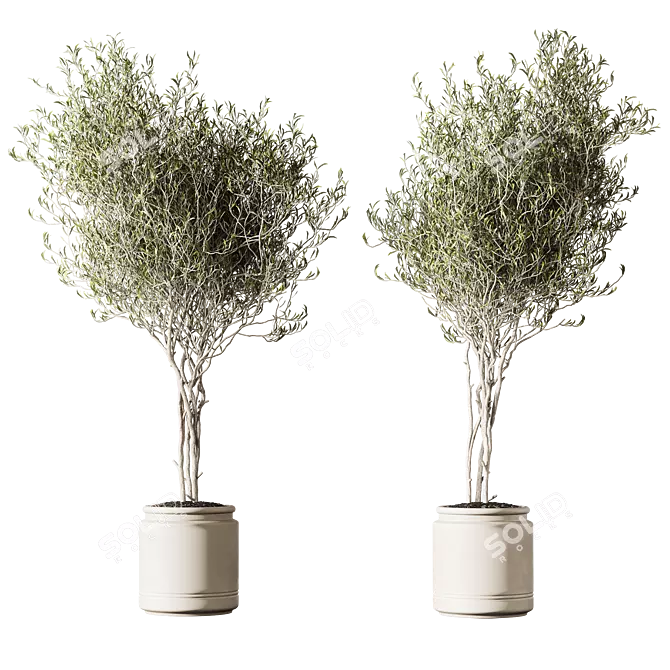 Set of Indoor Live Plants 3D model image 3