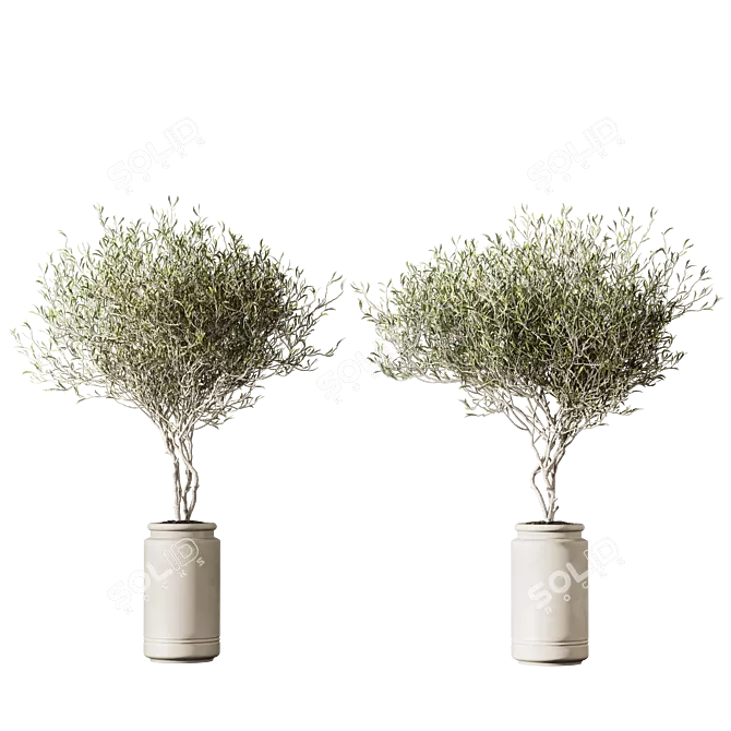 Set of Indoor Live Plants 3D model image 4