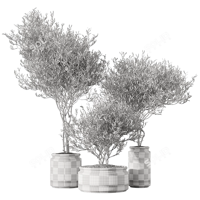 Set of Indoor Live Plants 3D model image 6