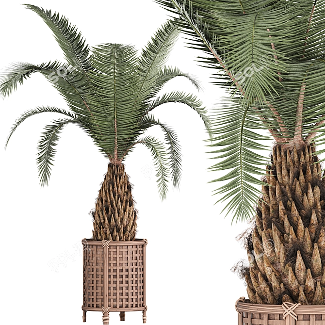 Botanical Bliss Indoor Plant Set 3D model image 1