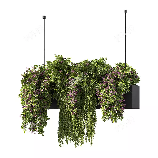 Botanical Bliss Hanging Plants Set 3D model image 1