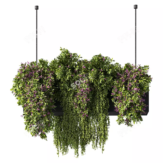 Botanical Bliss Hanging Plants Set 3D model image 2