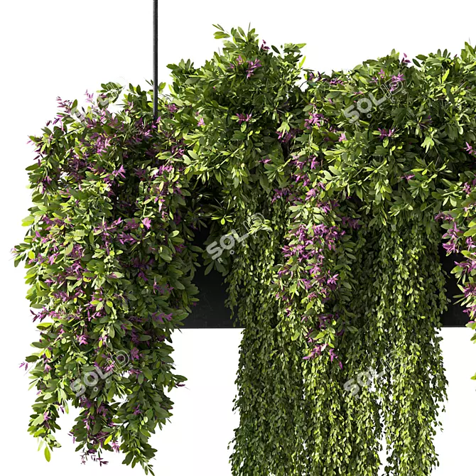 Botanical Bliss Hanging Plants Set 3D model image 4