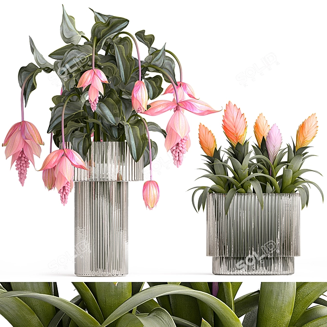 Exotic Floral Collection in Modern Vase 3D model image 1