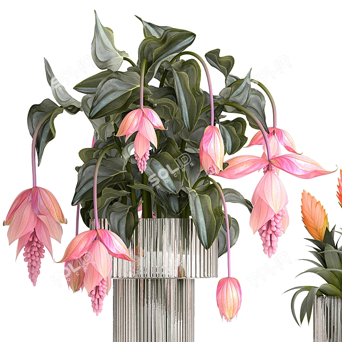 Exotic Floral Collection in Modern Vase 3D model image 3