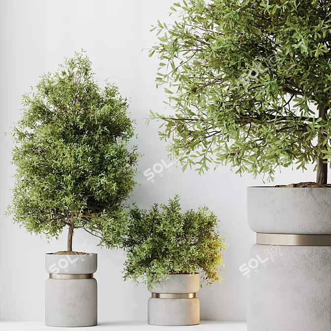 Elegant Olive Tree Set for Yard 3D model image 3