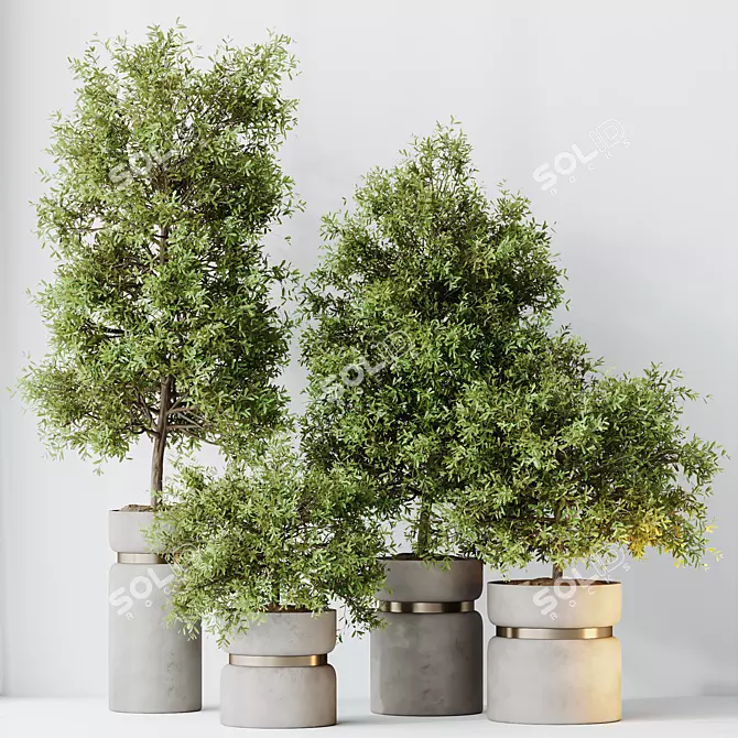 Elegant Olive Tree Set for Yard 3D model image 4