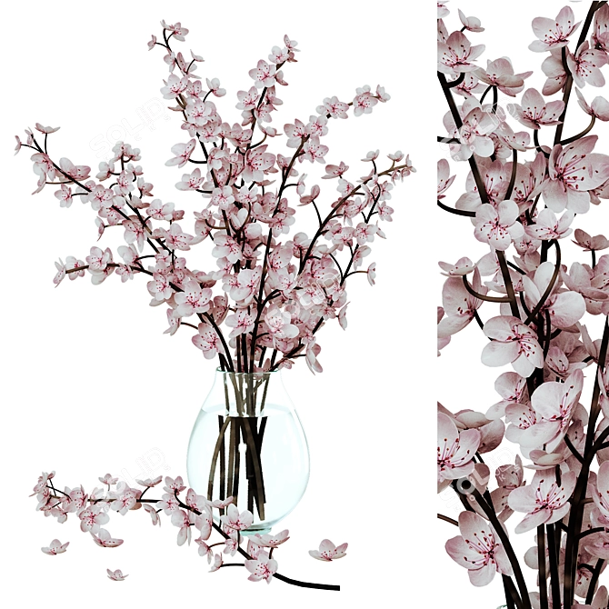 Sakura Branch Bouquet 3D model image 1