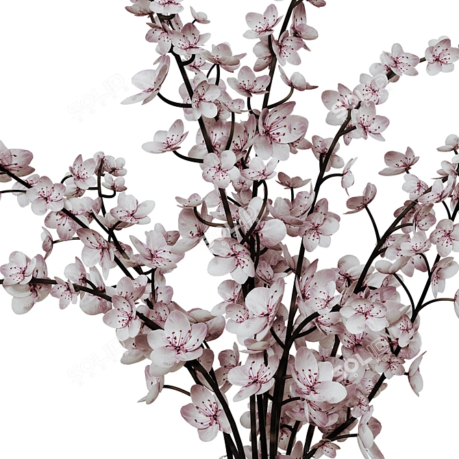 Sakura Branch Bouquet 3D model image 4