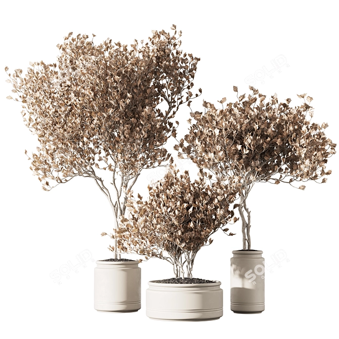 Autumn Indoor Plant Set 22 3D model image 1