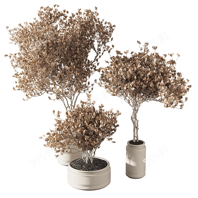 Autumn Indoor Plant Set 22 3D model image 2