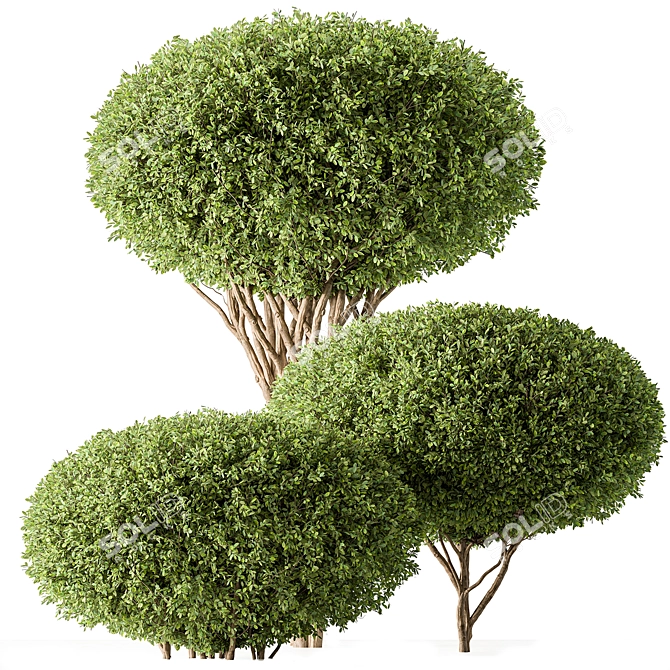 Artificial Topiary Ball Bush Set 3D model image 1