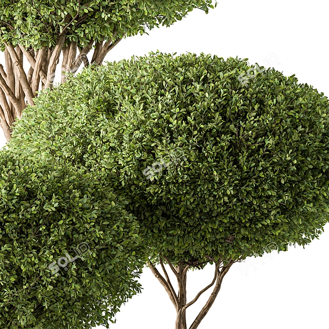 Artificial Topiary Ball Bush Set 3D model image 2
