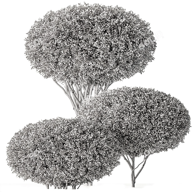 Artificial Topiary Ball Bush Set 3D model image 4